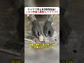 タイヤで作る天才的作業台! これで作業も移動もラクラク? #DIY作業台 #創意工作 #溶接技術 #キャスター付き作業台 #手作り家具