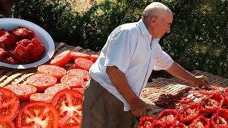 DRY TOMATOES. Dried in reeds and seasoned for conservation and consumption in winter