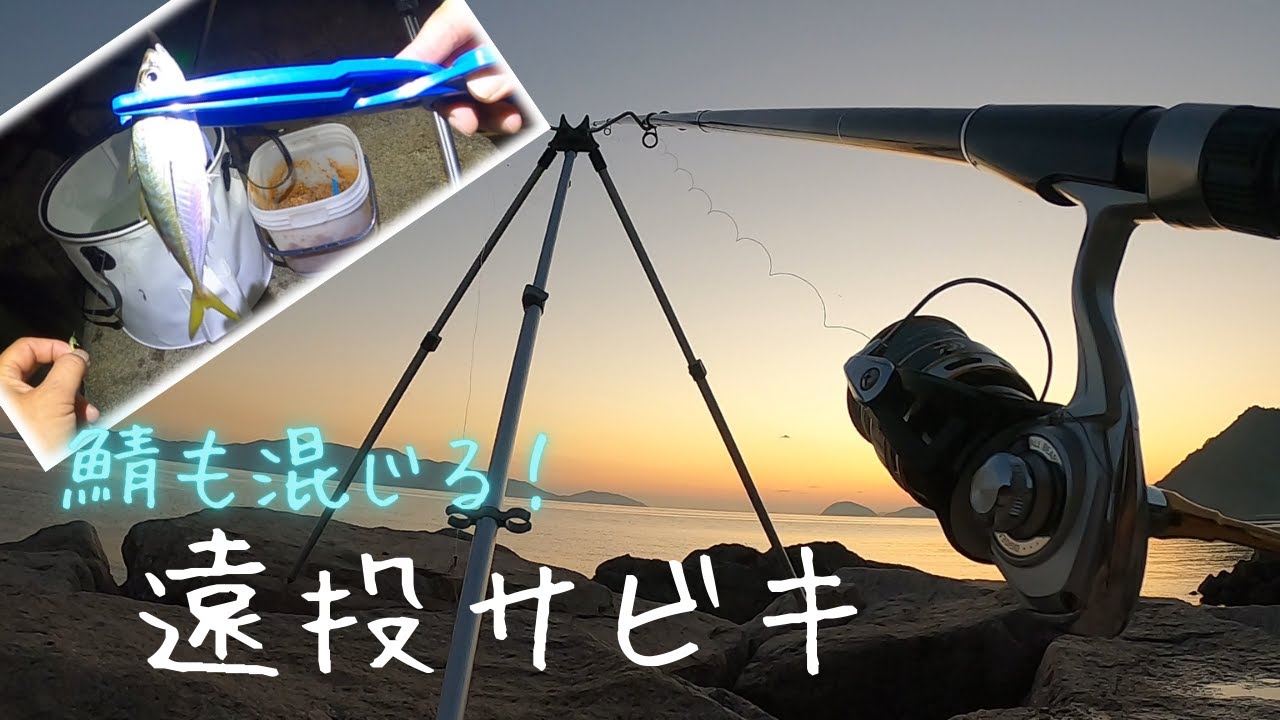 広島のベイト情報 21年第1弾 シーバス釣りやショアジギング ブリ サワラ の参考に Youtube 広島のベイト情報 21年第1弾 シーバス釣りやショアジギング ブリ サワラ の参考に Youtube