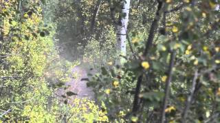 Vail Mountain Bike Race Series 2012