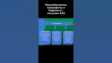 Микробиология, Сапрофиты и Паразиты