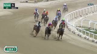 Vidéo de la course PMU RACE 5