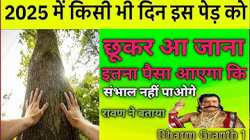 1 जनवरी नया साल के दिन इस पेड़ को छूकर आ जाना, इतना पैसा आएगा कि...#pradeepmishra #newyear2025 #upay
