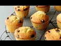 카스테라처럼 부드럽고 계란 향이 솔솔, 아메리칸 초코칩 머핀 만들기(Chocolate Chip Muffins recipe/カステラマフィン レシピ・作り)