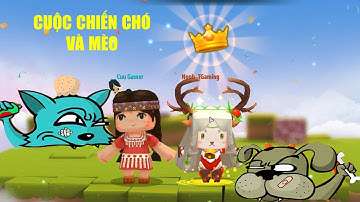 MINI GAME : CUỘC CHIẾN CHÓ VÀ MÈO ** MÈO NOOB HAY CHÓ CỪU SẼ CHIẾN THẮNG ĐÂY