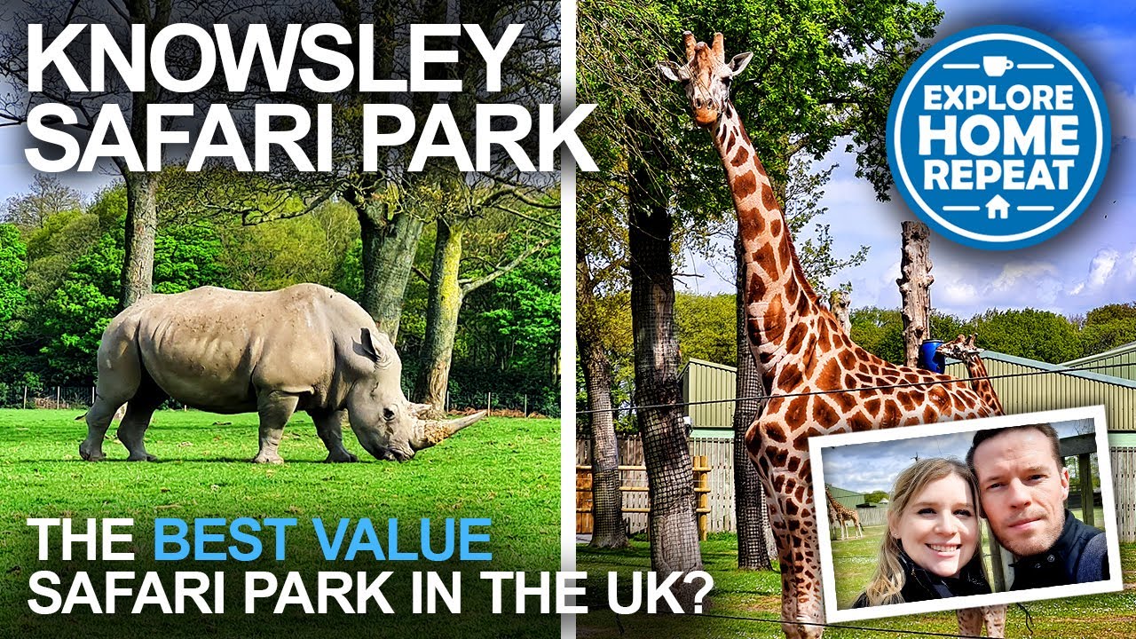 knowsley safari park vacancies