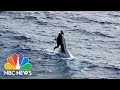 Boater Missing For 2 Days Found Clinging To Capsized Boat | NBC Nightly News