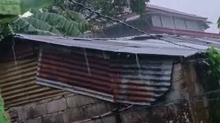 Download Lagu Heavy Rain \u0026 Thunderstorm on Tin Roof for Deep Relaxation MP3