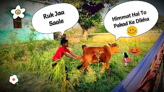 Eid Special Don’t Miss New Unlimited Funny Viral Trending Video 2024 Episode 263 By Busy Fun Ltd