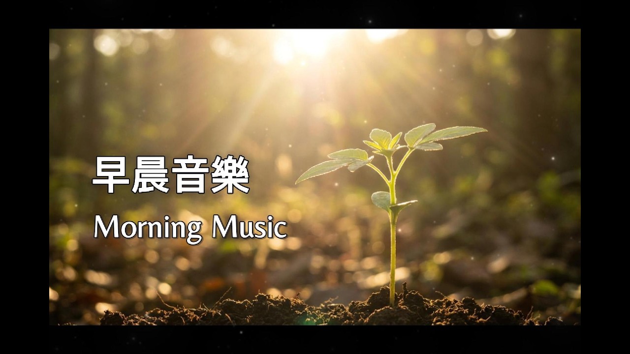 🌤️我在早晨的陽光裡迎接每一個美好的今天 | 喚醒正能量的柔和鋼琴與水晶音樂 | 淨化心靈，開啟幸運的一天 | Gentle Morning Piano
