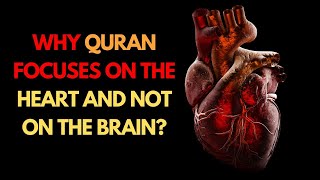 Scientists are Shocked Why Quran focuses on the Heart and not on the Brain? | Islamic Lectures