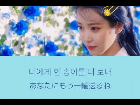 IU - Blueming  【日本語訳/歌詞】