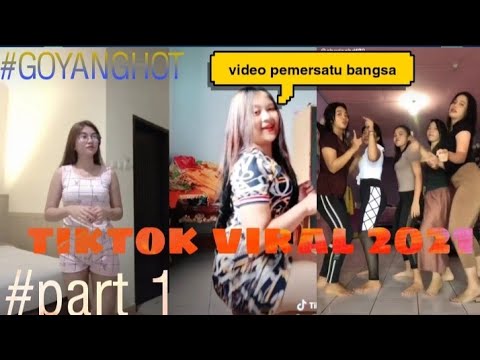 video pemersatu bangsa II goyang tiktok part 1