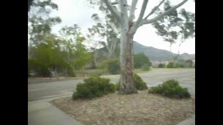 4953: Egional Park in San Luis Obispo, California.