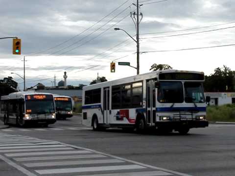 Various GRT buses travelling along their respective routes at Dunbar and Hespeler.