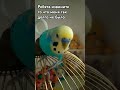 ребята мои подписчики у меня к вам просьба извините то что я так долго не была в ютуби