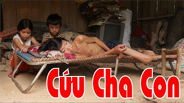 Gà Trống Nuôi Con lâm vào cảnh Bế Tắc