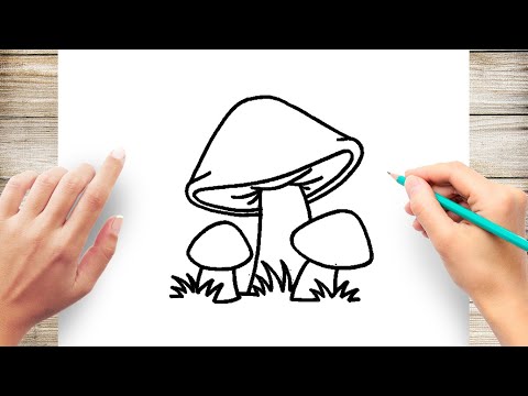 فيديو: كيفية رسم الفطر
