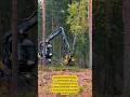 Ponsse Scorpion King: Revolutionizing Forest Harvesting! 🌲
