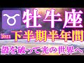 牡牛座♉️下半期半年間リーディング🌈殻を破って🐣光の世界へ✨