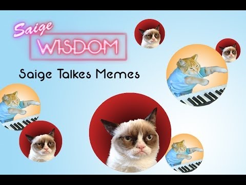 saige-talks-memes:-grumpy-cat-&-keyboard-cat