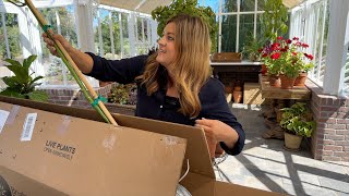 Unboxing & Potting Avocado Trees + Canning the MOST Delicious Marinara Sauce!  // Garden Answer