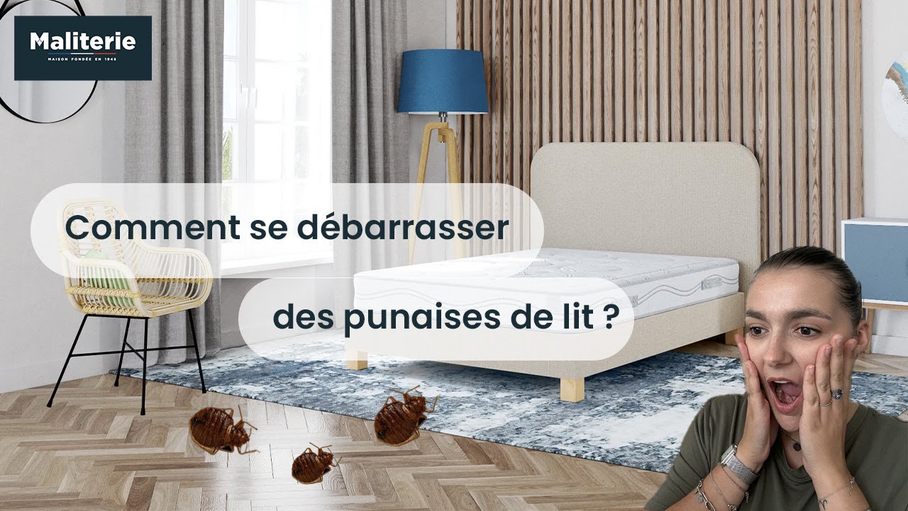 Les punaises de lit apportent-elles des maladies ?