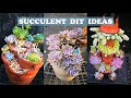 Recycle old things into succulent pots| Tái chế đồ cũ trồng sen đá| 多肉植物| 다육이들 | Suculentas