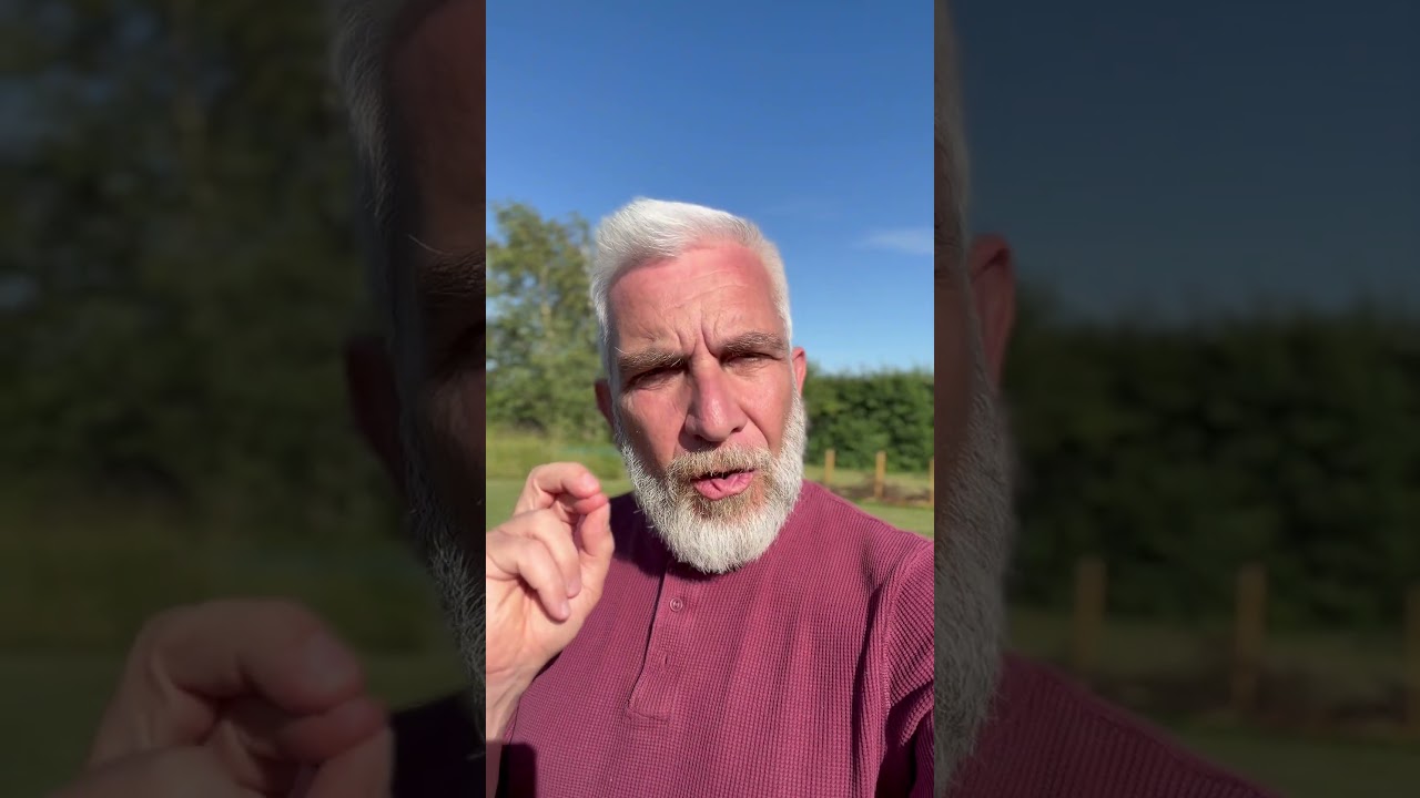 Qigong Teaching Skills #qigong #teaching #tradition #accuracy #qi