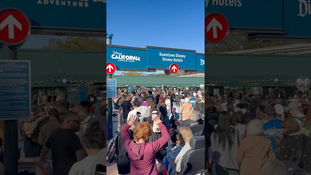 🦃 Thanksgiving 2024 Crowds At The Disneyland Resort! 