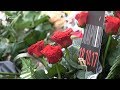 Харків'яни масово несуть квіти до місця аварії в Харкові