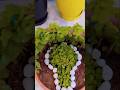 jade plant topiyari ☘️ ideas🙏🏻 हर-हर महादेव 🙏🏻🌱🌿#gardening #decoration #diy #plants #yt #shorts