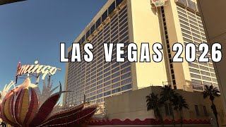 FULL TOUR! Flamingo Hotel Celebrating 80 Years On The Las Vegas Strip!