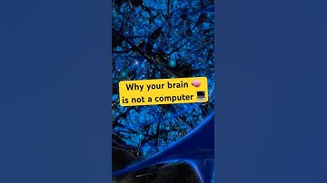 Why Your Brain Isn