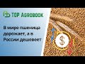 В мире пшеница дорожает, а в России дешевеет. TOP Agrobook: обзор аграрных новостей