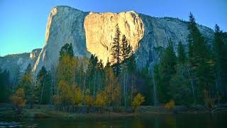 Nature.... Yosemite National Park 4K. #naturetherapyfilms