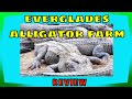 Everglades Alligator Farm Review (Homestead, FL) | The RV Tourist