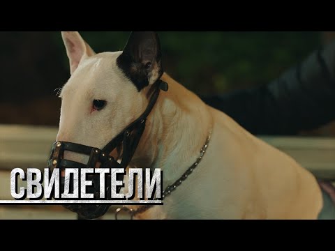 СВИДЕТЕЛИ: Заклятые сестры (Серия 119) | От создателей сериала СЛЕД