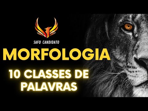 MORFOLOGIA - 10