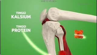 Download lagu Iklan Anlene Gold - Rekomendasi IOF (2025) @ Trans TV, Indosiar, SCTV, ANTV, RCTI, tvOne, & MDTV