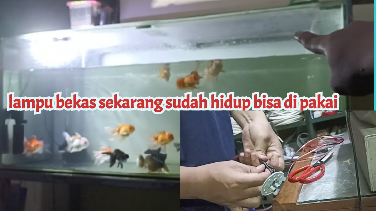 cara perbaiki lampu led ketika dipasang mati menjadi lampu penerang