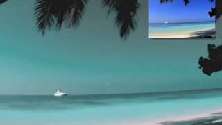 Tritanopia - Simulator of Color Blindness
