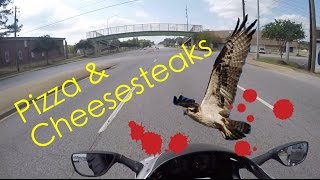 Hit by Bird! 18 Pizzas and 6 Cheesesteaks!