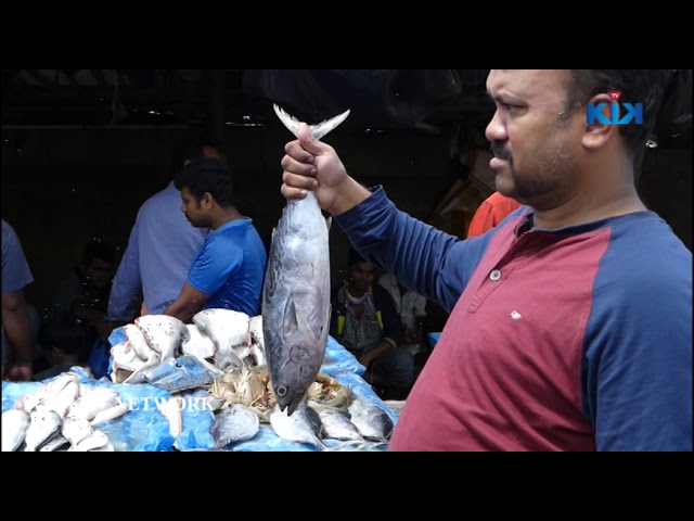 Indian Fish market | Amazing Fish Cutting | KikTV Network