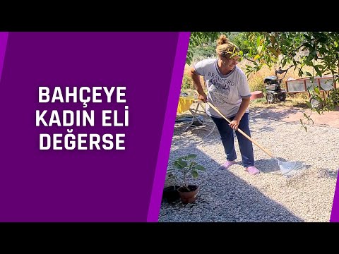 Video: Bahçe Düzenlemesinde çakıl