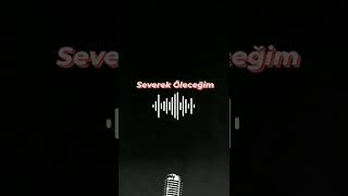 Ebru Gündeş - Severek Öleceğim (Cover)