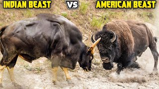 Indian Bison vs American Bison in Tamil | இந்திய காட்டெருமை vs அமெரிக்க காட்டெருமை | Savage Empire
