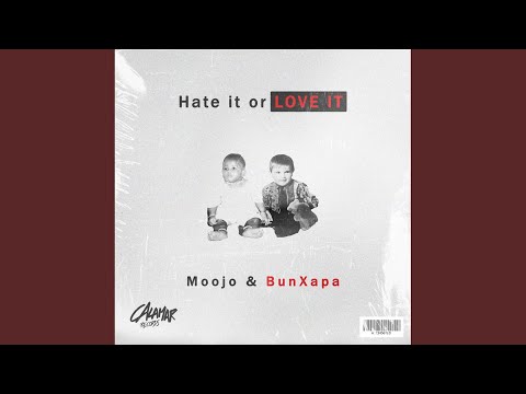 Hate It Or Love It