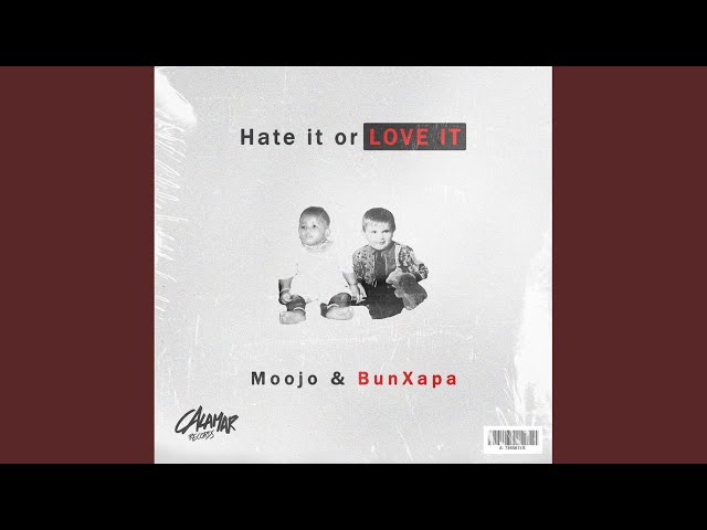 Hate It Or Love It