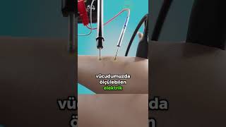 Telefonu Kolumuzla Şarj Etmek? 📱💪⚡